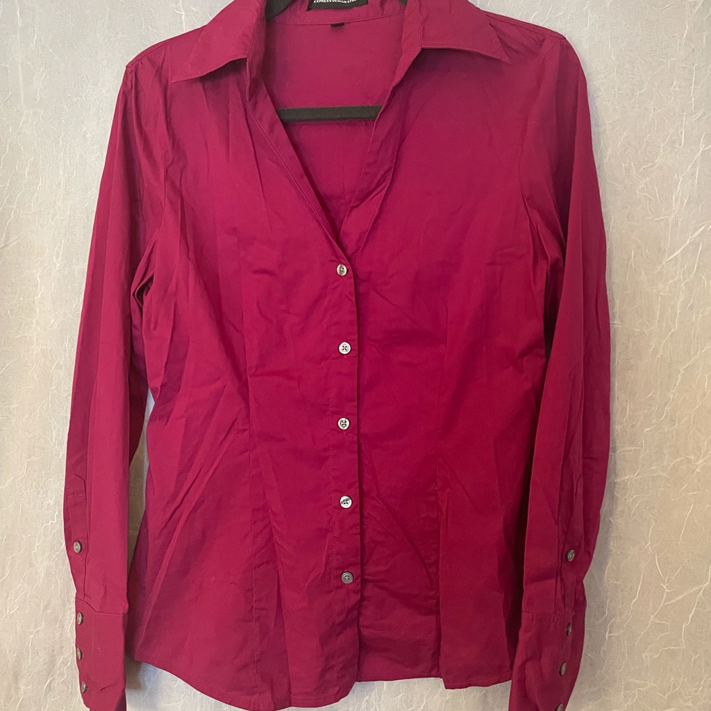 Express Button Down Blouse (Medium)